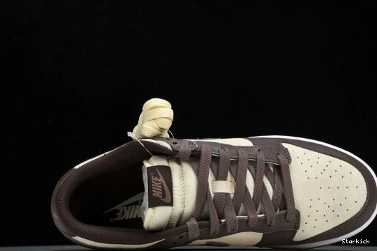 Plum Low Dunk  Eclipse Nike FJ4734-100 0907